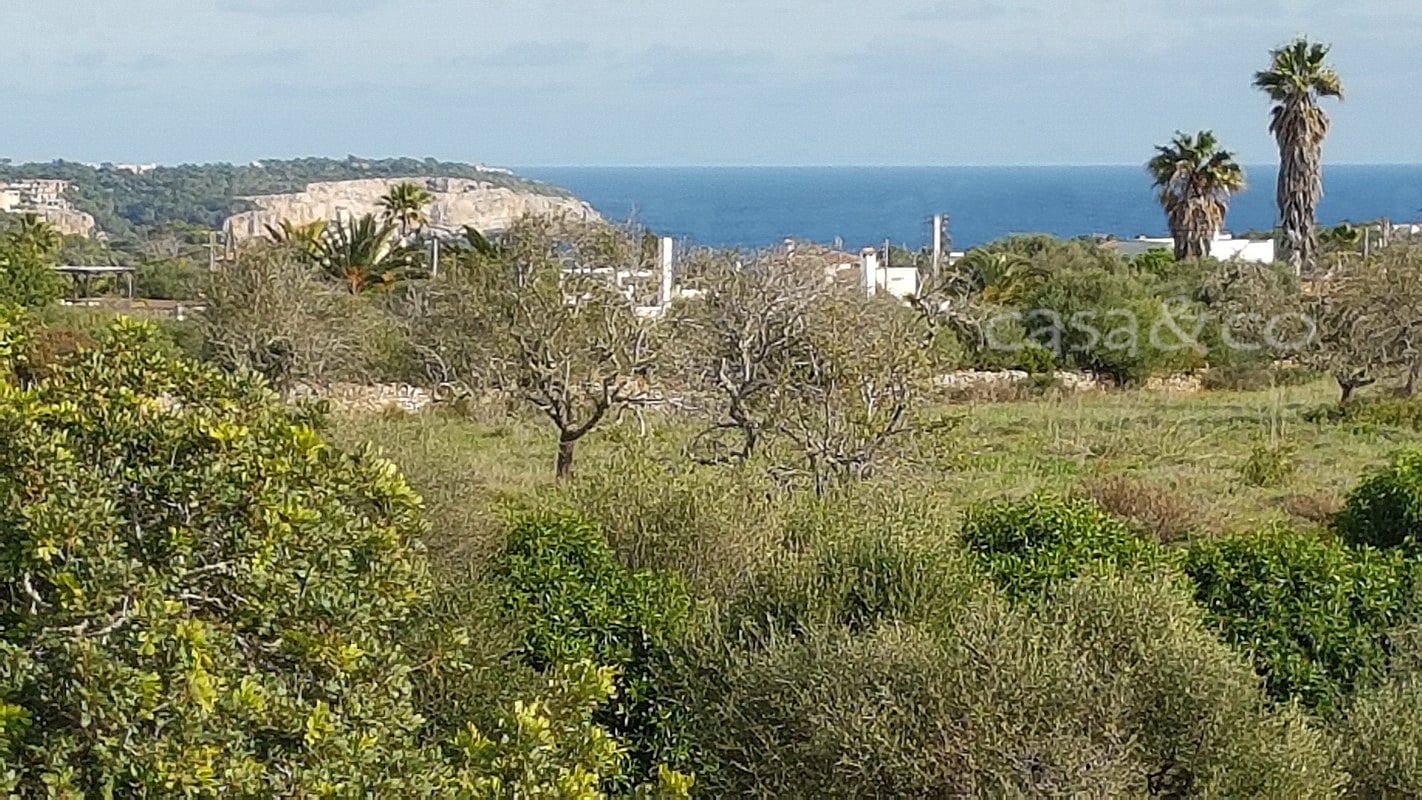 santanyi immobilien finca kaufen