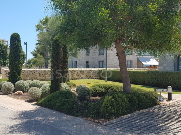 20190716_125909