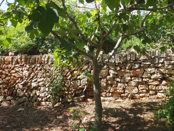 garten-06