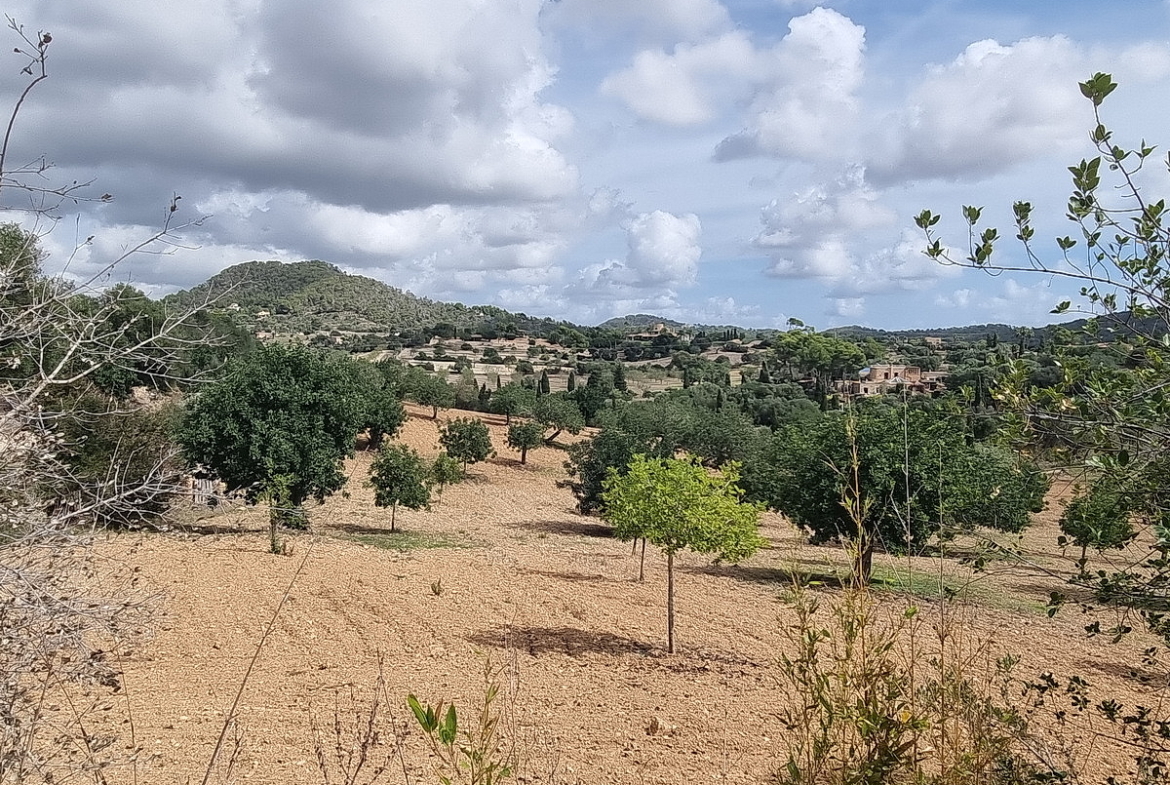 Ancienne FINCA à CALONGE / ES CARRITXÓ, lieu paisible avec vue superbe