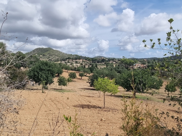 Ancienne FINCA à CALONGE / ES CARRITXÓ, lieu paisible avec vue superbe